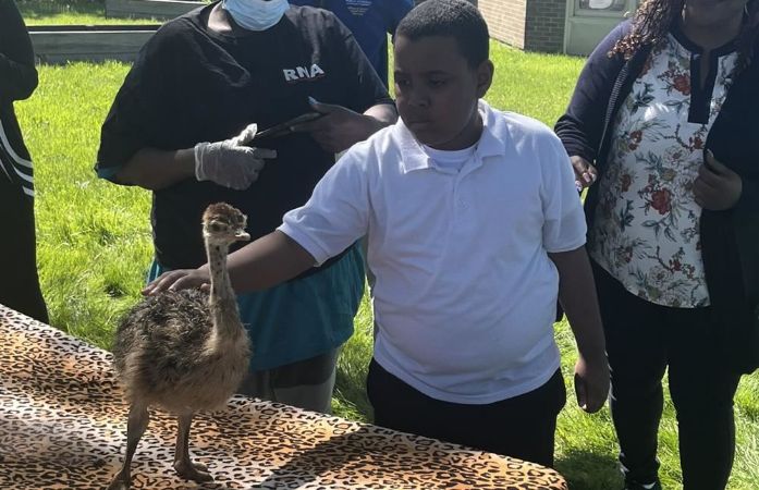 student touching a duck